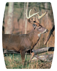 DAREC 302 White Tail Crusing